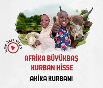 Akika Kurbanı Büyükbaş Hisse