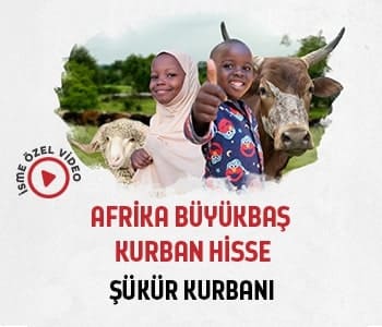 Şükür Kurbanı Büyükbaş Hisse
