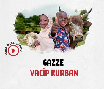 Gazze / Büyükbaş Vacip Kurban