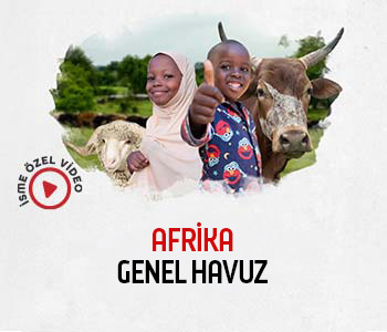 Afrika / Büyükbaş Sadaka Kurban (Genel Havuz)