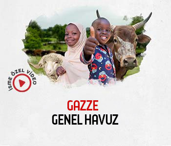 Gazze / Büyükbaş Sadaka Kurban (Genel Havuz)