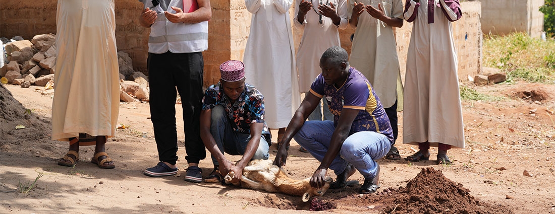 Kurban Vacip mi Farz mı? İslam’a Göre Hükmü Nedir?